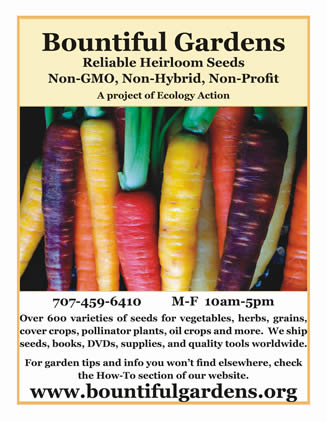 Bountiful Gardens - Reliable Heirloom Seeds, Non-GMO, Non-Hybrid, Non-Profit. A project of Ecology Action 707-459-6410 M-F 10AM-5PM. Over 600 varieties of seeds for vegetables, herbs, grains, cover crops, pollinator plants, oil crops and more. We ship seeds, books, DVDs, supplies and quality tools worldwide. For garden tips and info you will not find elsewhere, check out the How-To section of our website, www.bountifulgardens.org Click here to go to the website.
